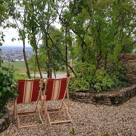 La Maison De L'Ecu : Charme Et Vue Incroyable Beaune  Dış mekan fotoğraf