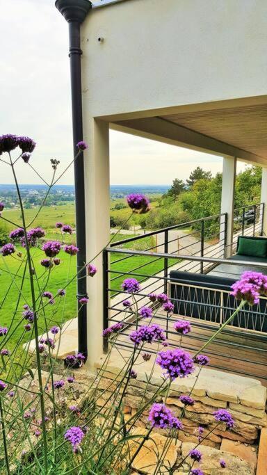 La Maison De L'Ecu : Charme Et Vue Incroyable Beaune  Dış mekan fotoğraf