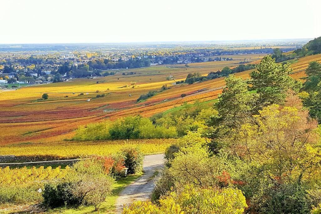 La Maison De L'Ecu : Charme Et Vue Incroyable Beaune  Dış mekan fotoğraf