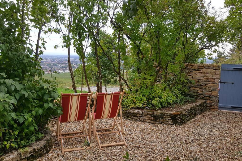 La Maison De L'Ecu : Charme Et Vue Incroyable Beaune  Dış mekan fotoğraf