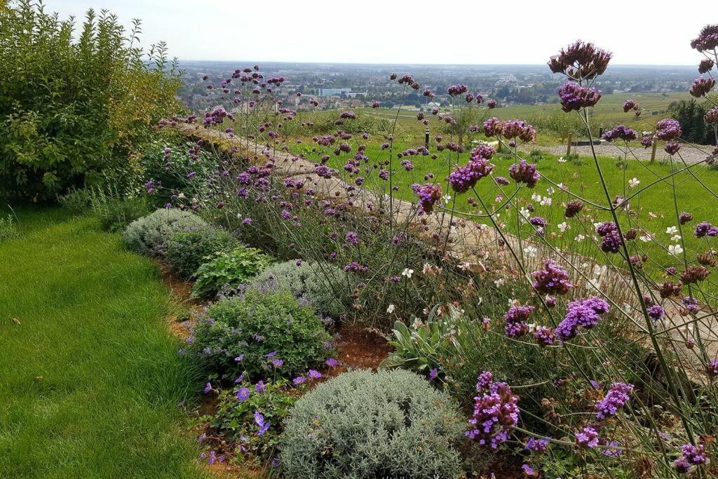 La Maison De L'Ecu : Charme Et Vue Incroyable Beaune  Dış mekan fotoğraf